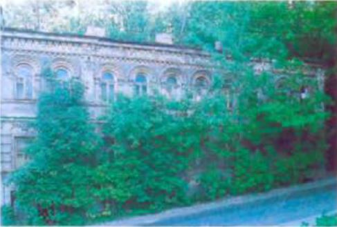 Будинок серед хащів